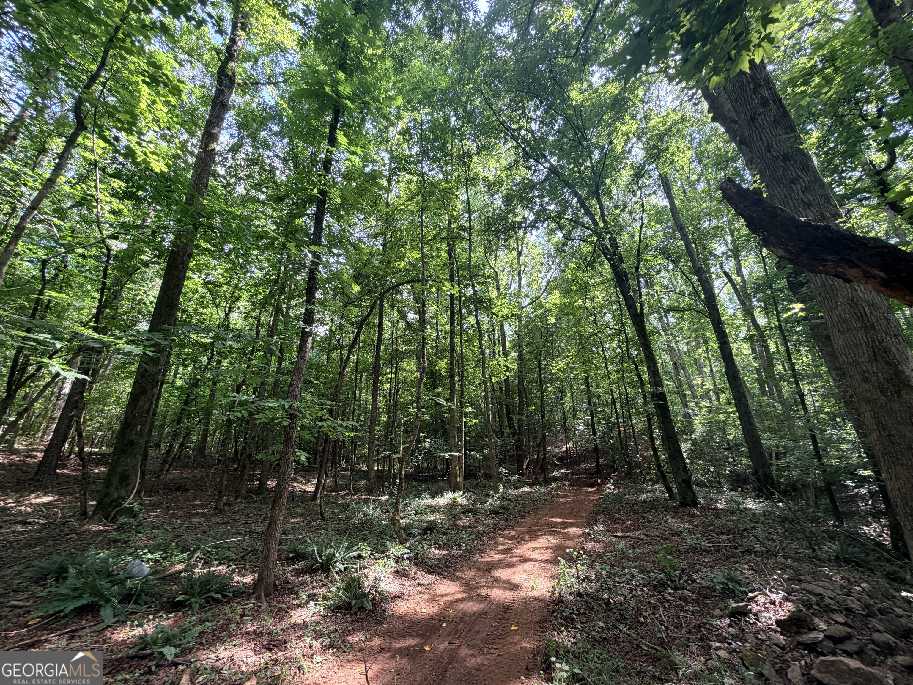 1590 James Adams Road Danielsville, GA 30633 - Photo 38 of 98