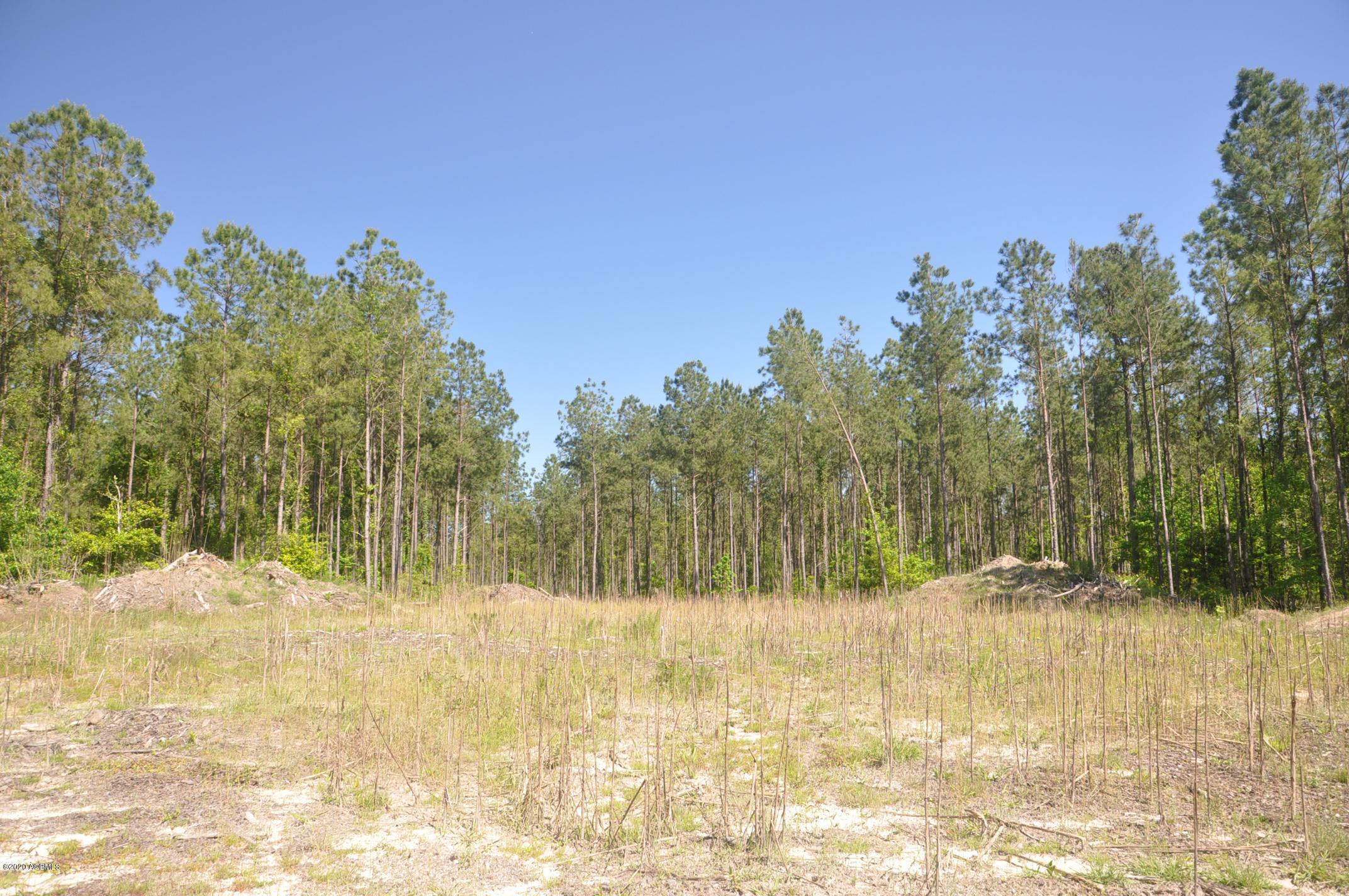 Tbd Tbd Salkehatchie Road Early Branch, SC 29916 - Photo 2 of 13 Rhodes West - Pic's (002)