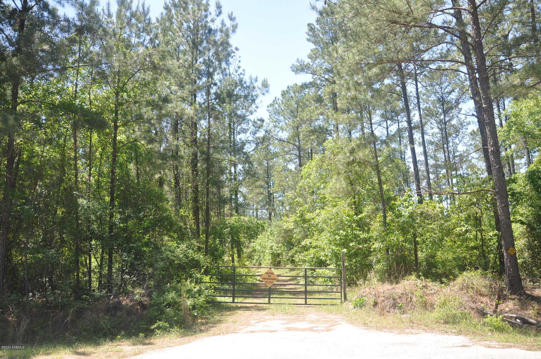 Tbd Tbd Salkehatchie Road Early Branch, SC 29916 - Photo 3 of 13 Rhodes West - Pic's (002).bmp