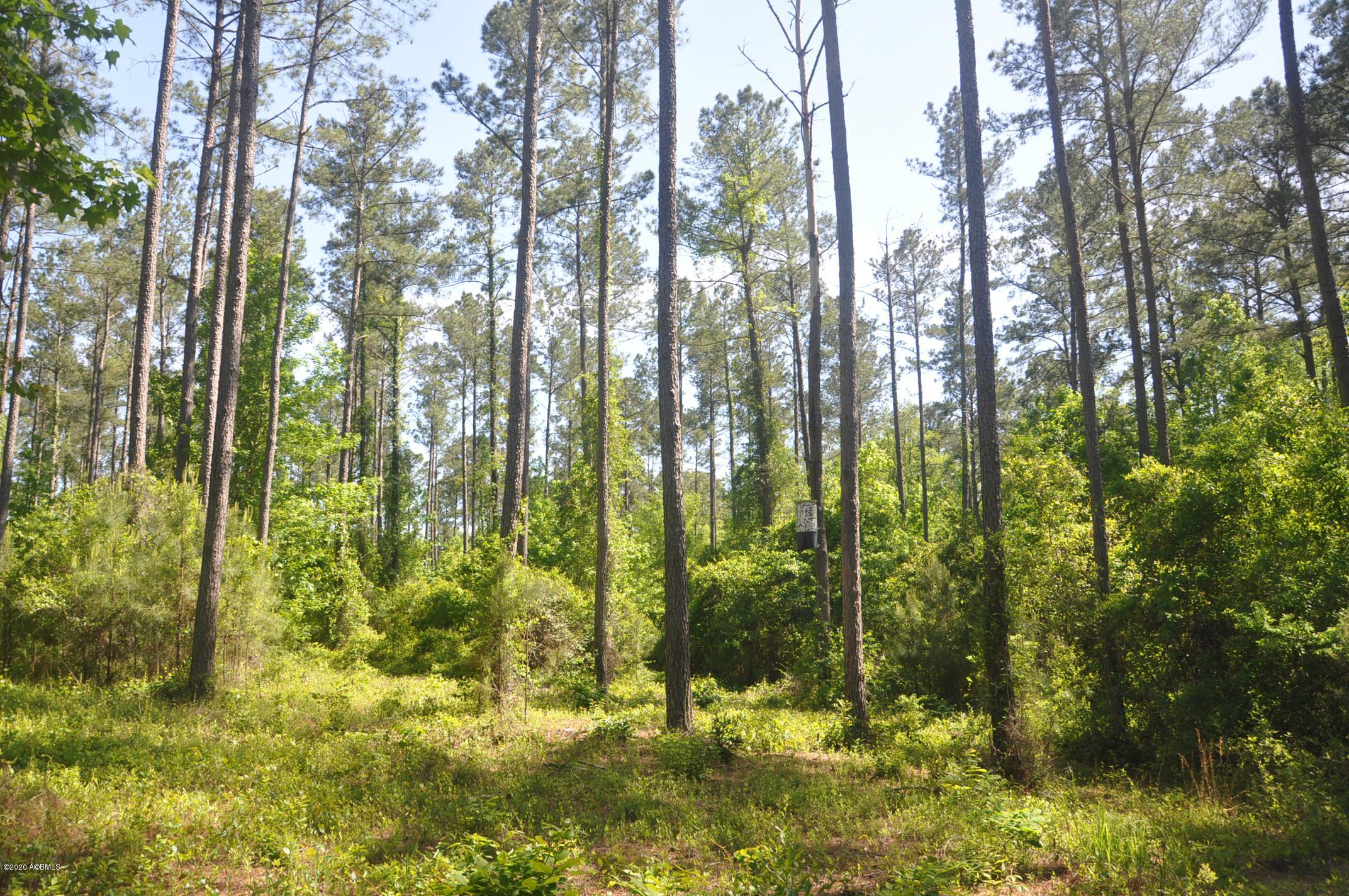 Tbd Tbd Salkehatchie Road Early Branch, SC 29916 - Photo 4 of 13 Rhodes West - Pic's (003