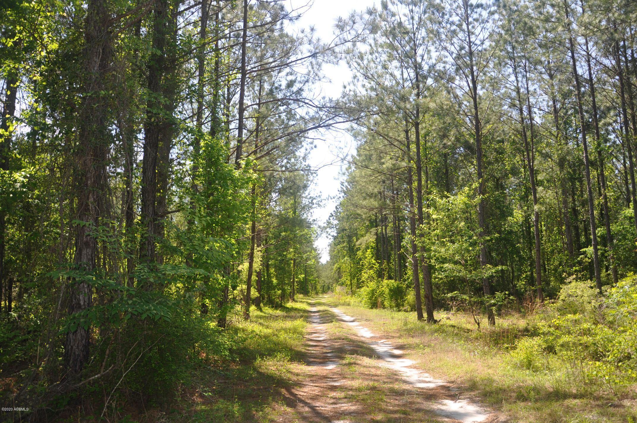 Tbd Tbd Salkehatchie Road Early Branch, SC 29916 - Photo 5 of 13 Rhodes West - Pic's (004