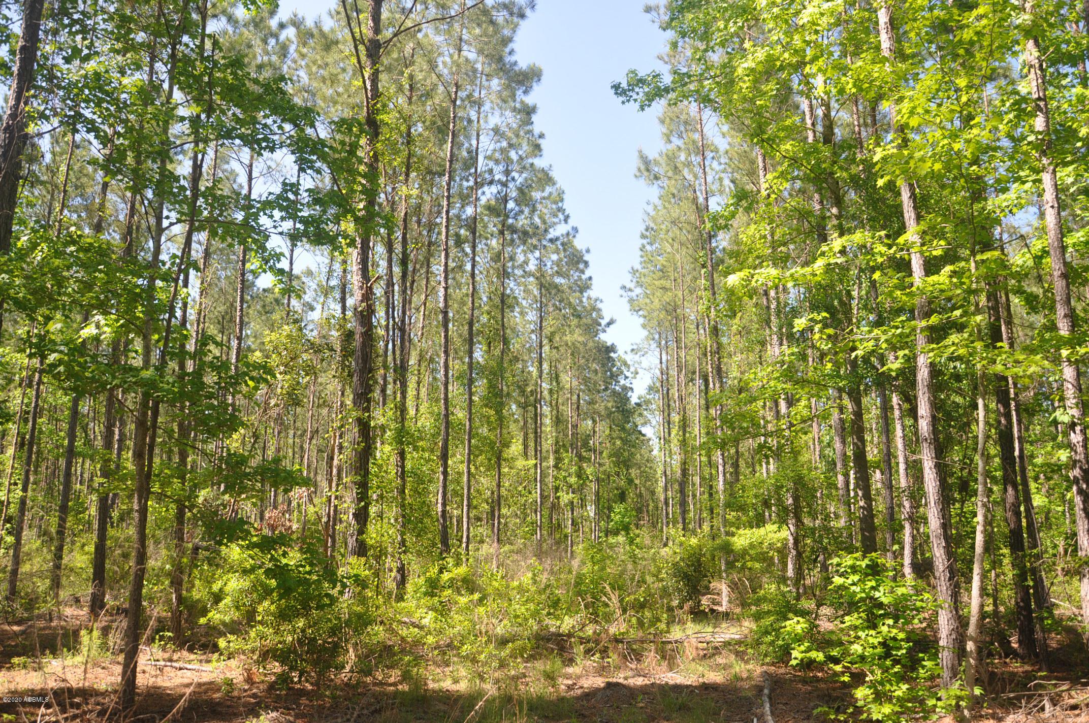 Tbd Tbd Salkehatchie Road Early Branch, SC 29916 - Photo 6 of 13 Rhodes West - Pic's (005