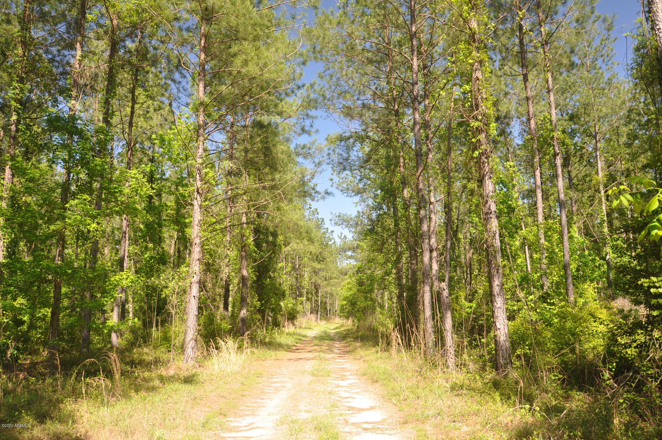Tbd Tbd Salkehatchie Road Early Branch, SC 29916 - Photo 7 of 13 Rhodes West - Pic's (006