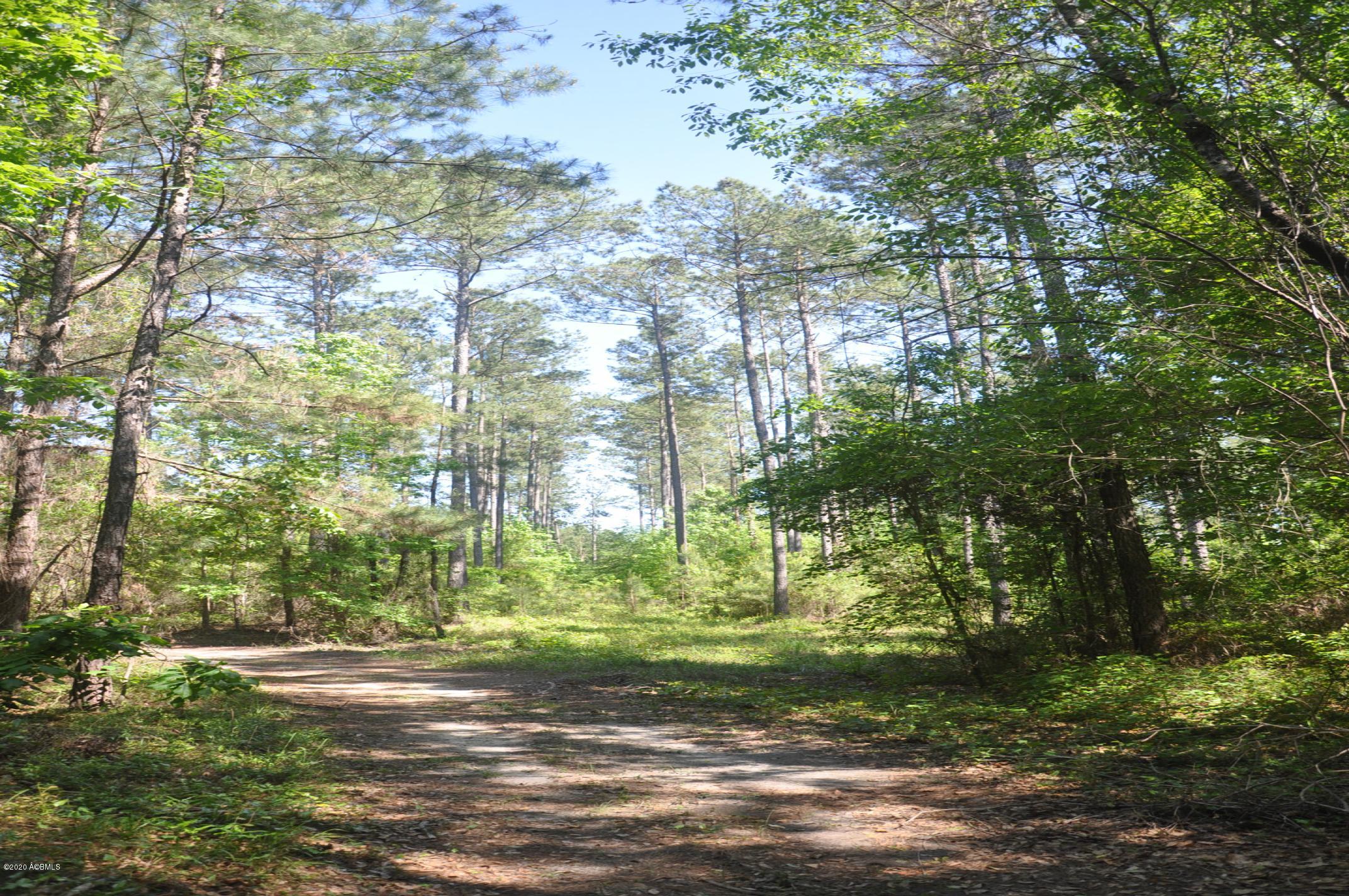 Tbd Tbd Salkehatchie Road Early Branch, SC 29916 - Photo 8 of 13 Rhodes West - Pic's (007