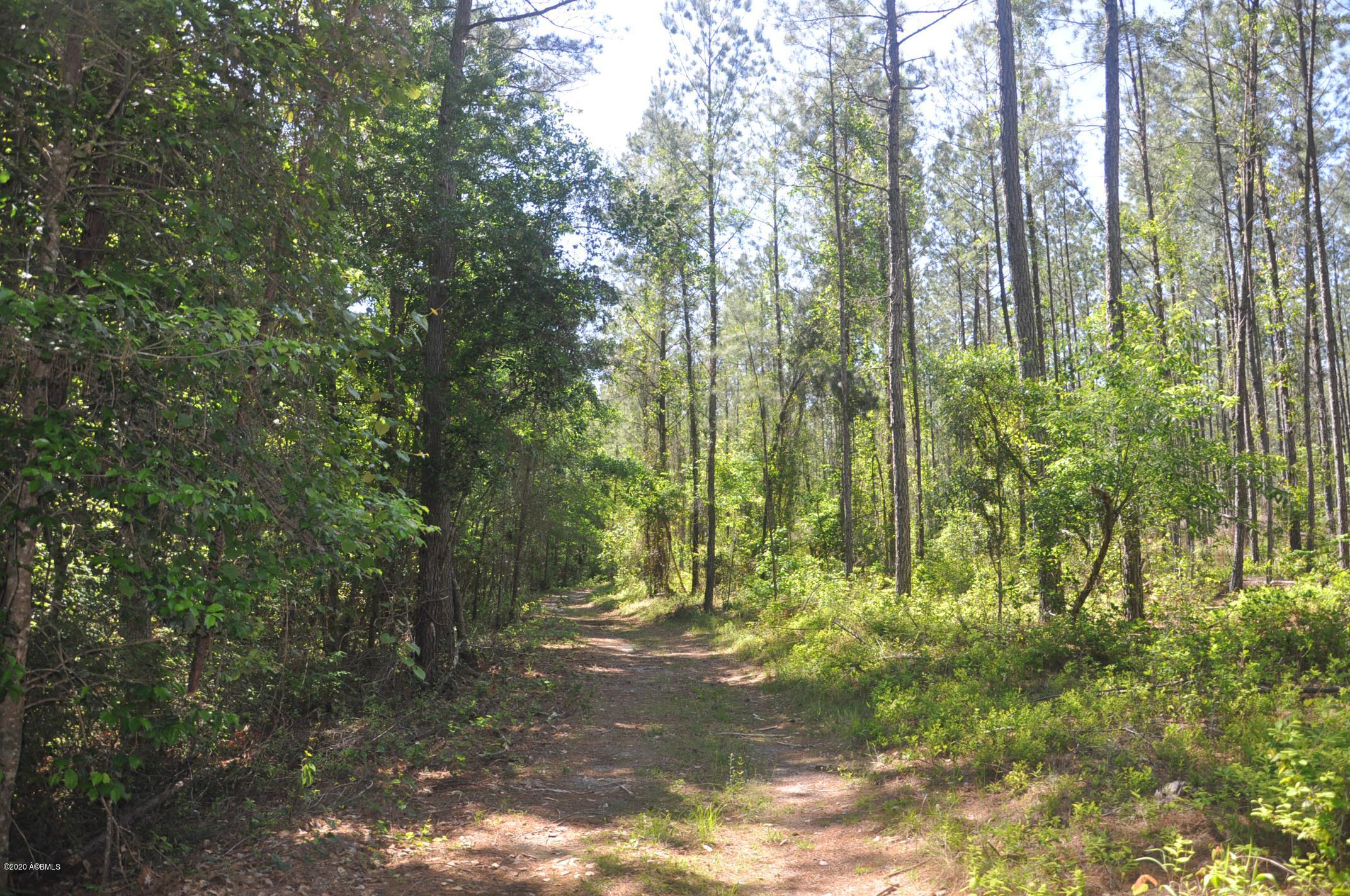 Tbd Tbd Salkehatchie Road Early Branch, SC 29916 - Photo 9 of 13 Rhodes West - Pic's (008