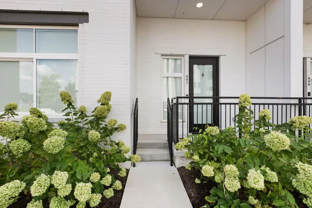 a view of a pathway with a flower pot