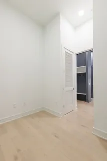 a view of a garden with plants