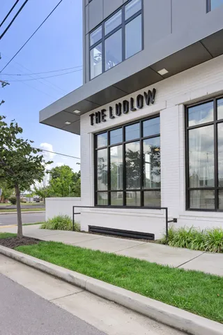 a view of a city with tall trees