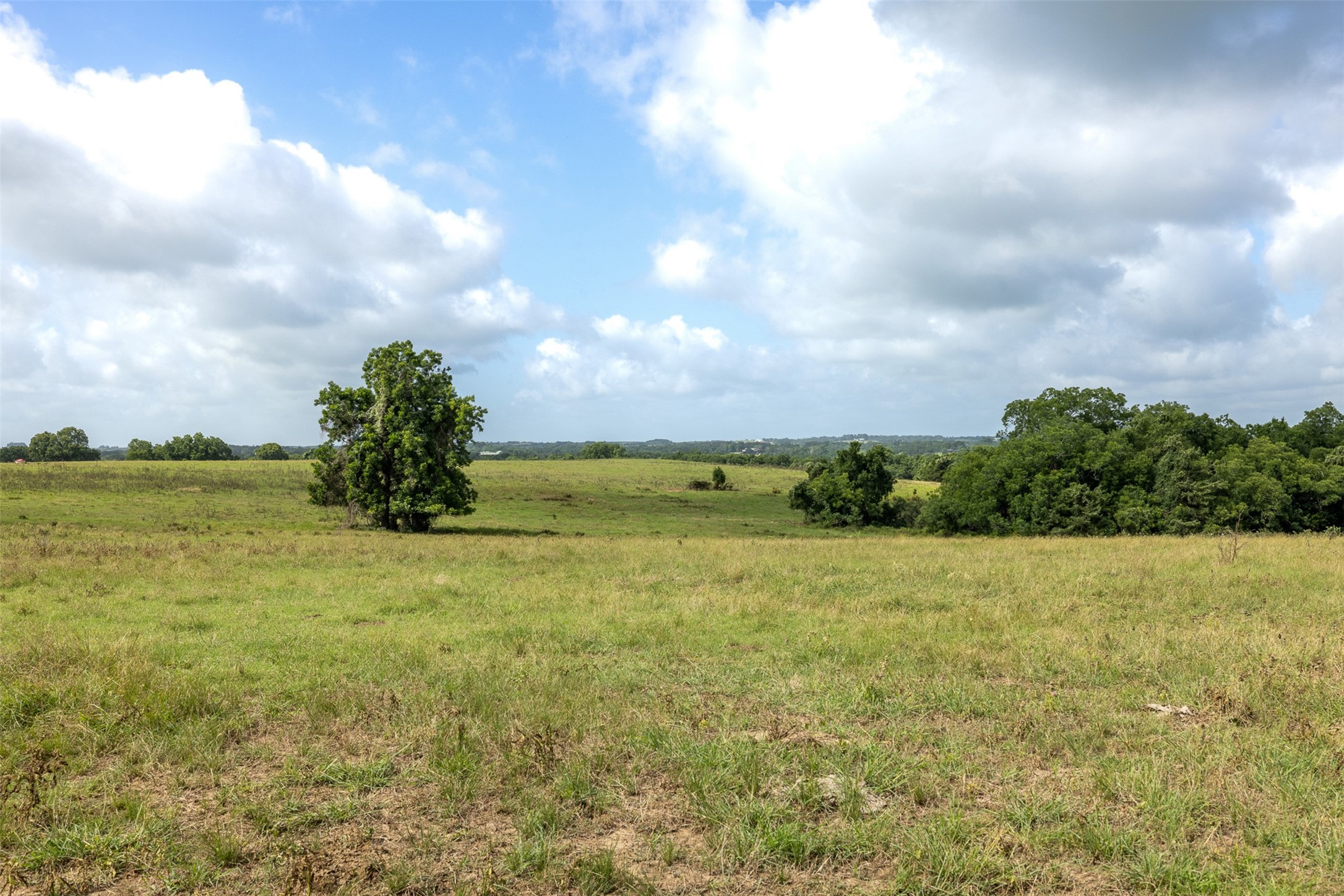 6550 Gibbs Creek Road Chappell Hill, TX 77426 - Photo 13 of 32
