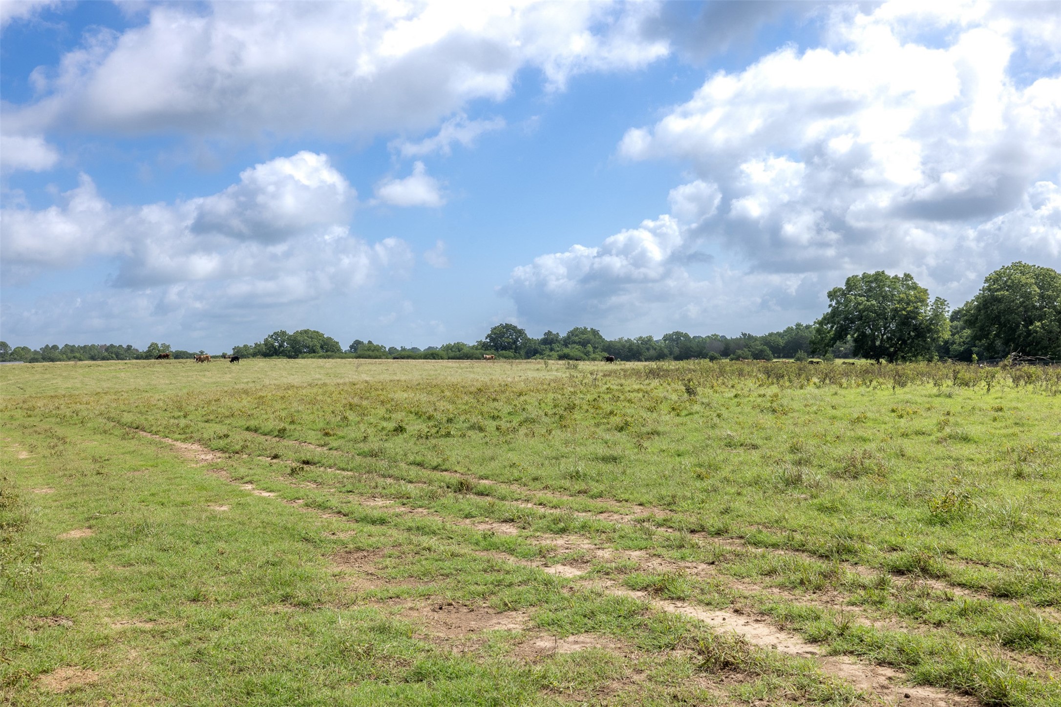 6550 Gibbs Creek Road Chappell Hill, TX 77426 - Photo 14 of 32 a view of a lake