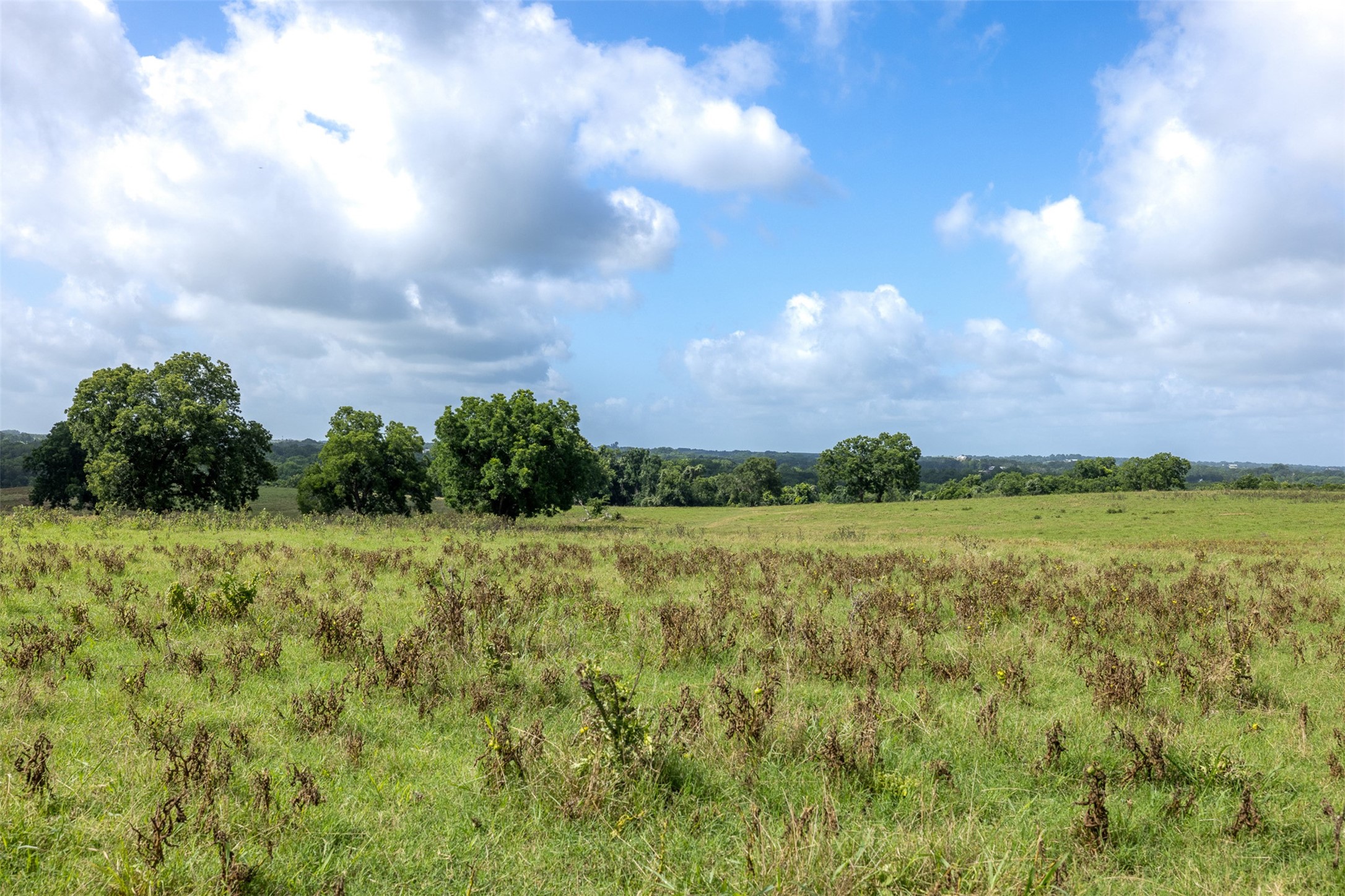 6550 Gibbs Creek Road Chappell Hill, TX 77426 - Photo 15 of 32 a view of a green field