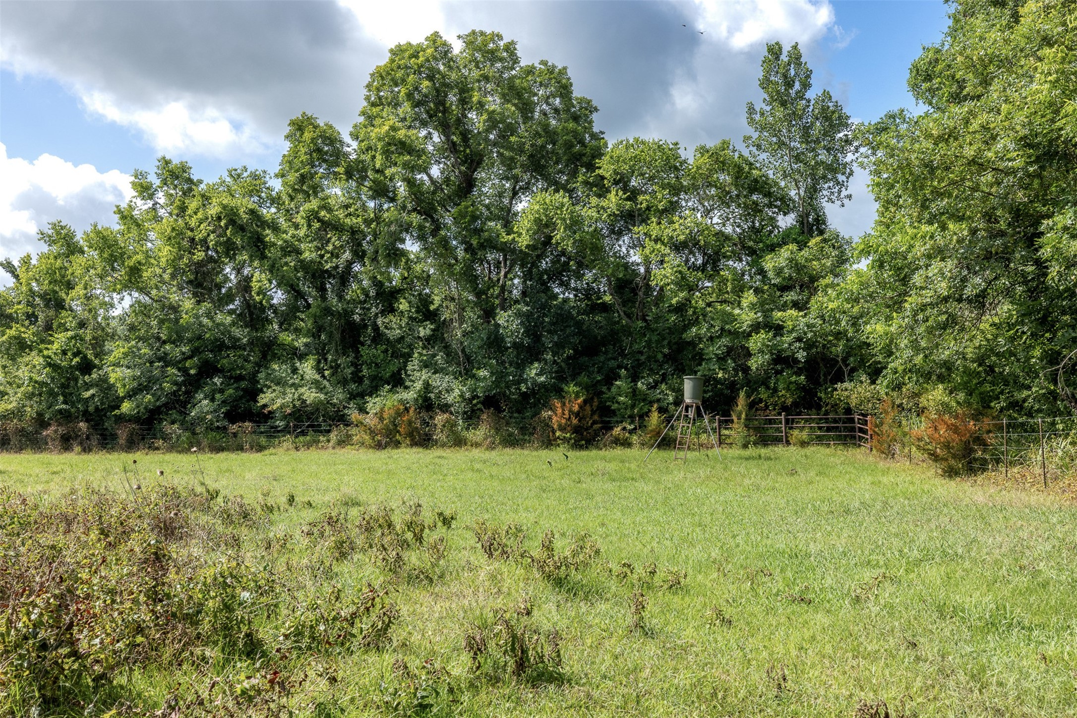 6550 Gibbs Creek Road Chappell Hill, TX 77426 - Photo 20 of 32 a view of green field with trees in the background
