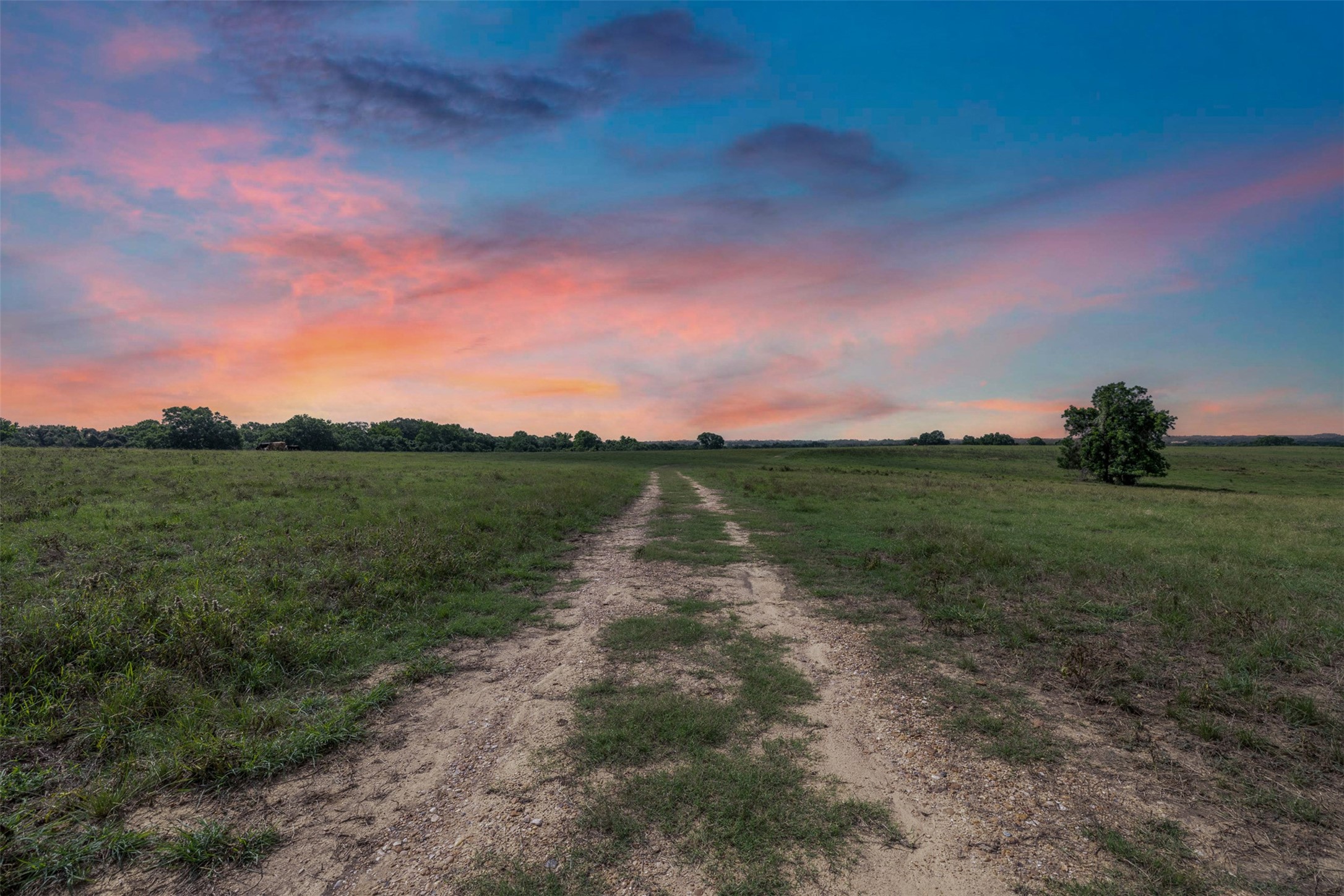 6550 Gibbs Creek Road Chappell Hill, TX 77426 - Photo 2 of 32 a view of a lake with a yard