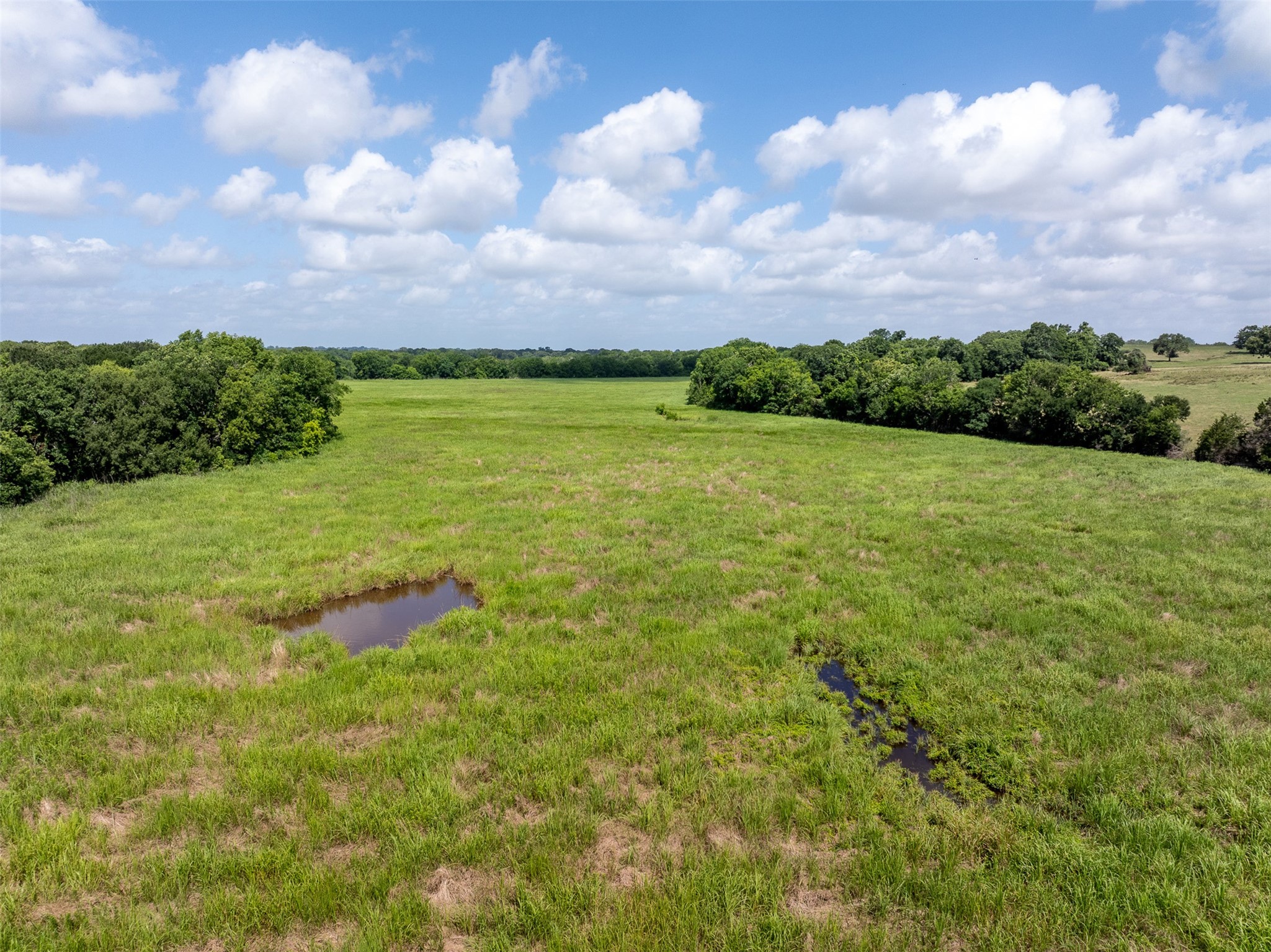 6550 Gibbs Creek Road Chappell Hill, TX 77426 - Photo 24 of 32 a view of a lake view