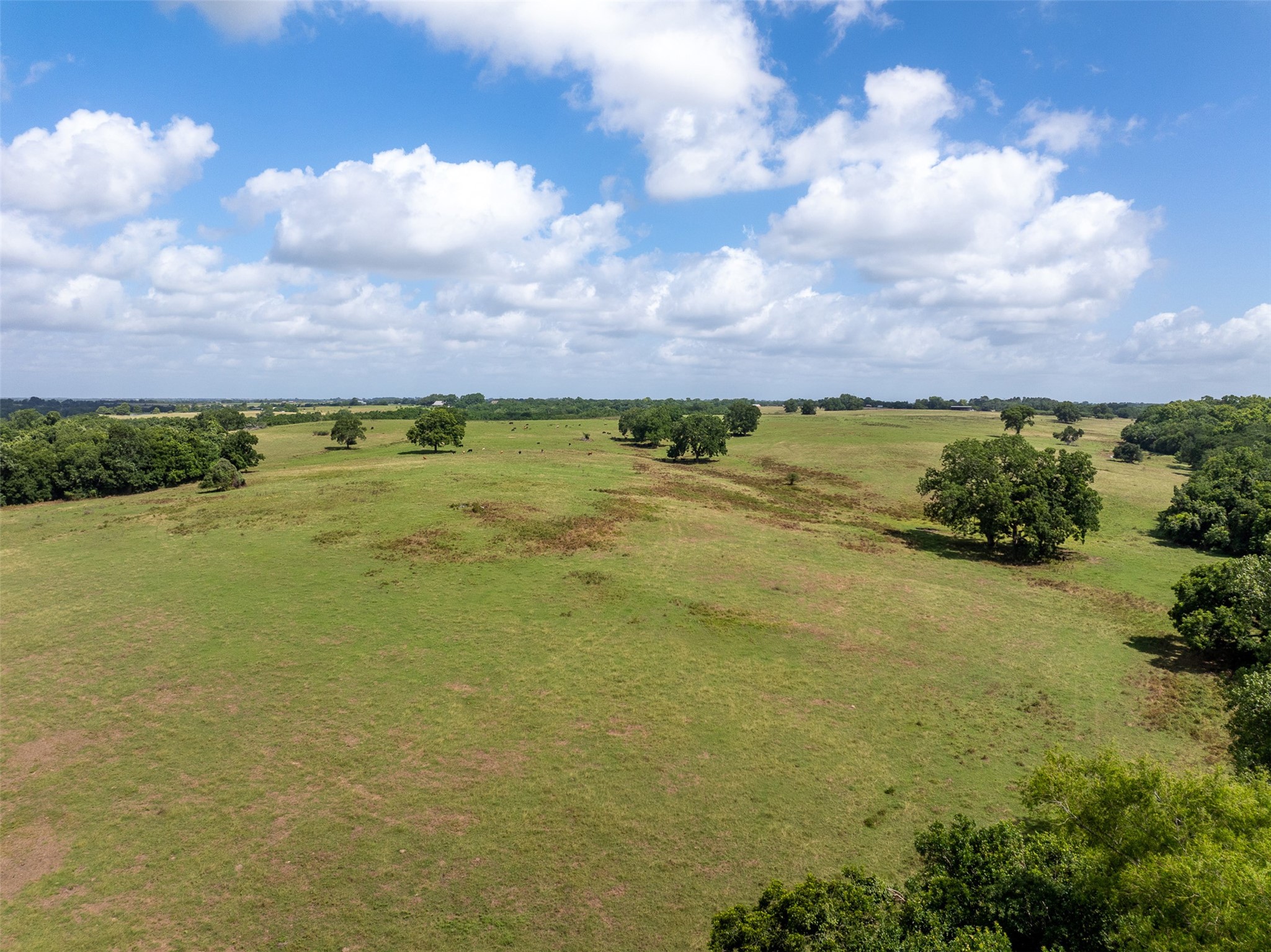 6550 Gibbs Creek Road Chappell Hill, TX 77426 - Photo 25 of 32 a view of an ocean and beach