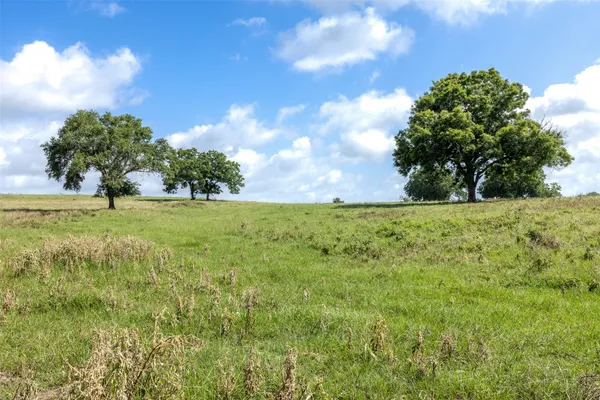 $6,820,000 | 6550 Gibbs Creek Road, Chappell Hill, TX 77426