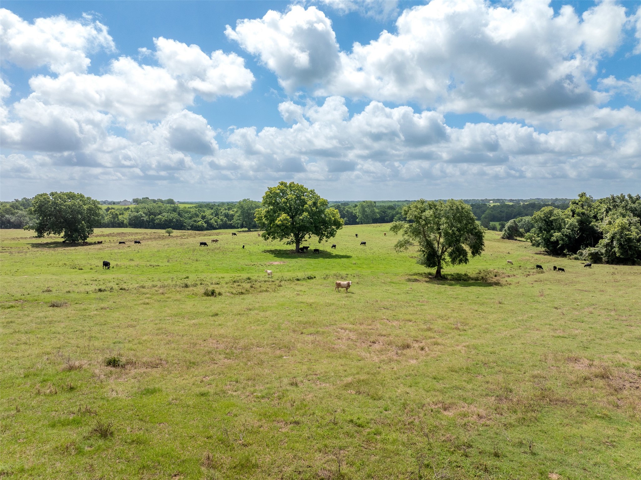 6550 Gibbs Creek Road Chappell Hill, TX 77426 - Photo 31 of 32 a view of a lake view