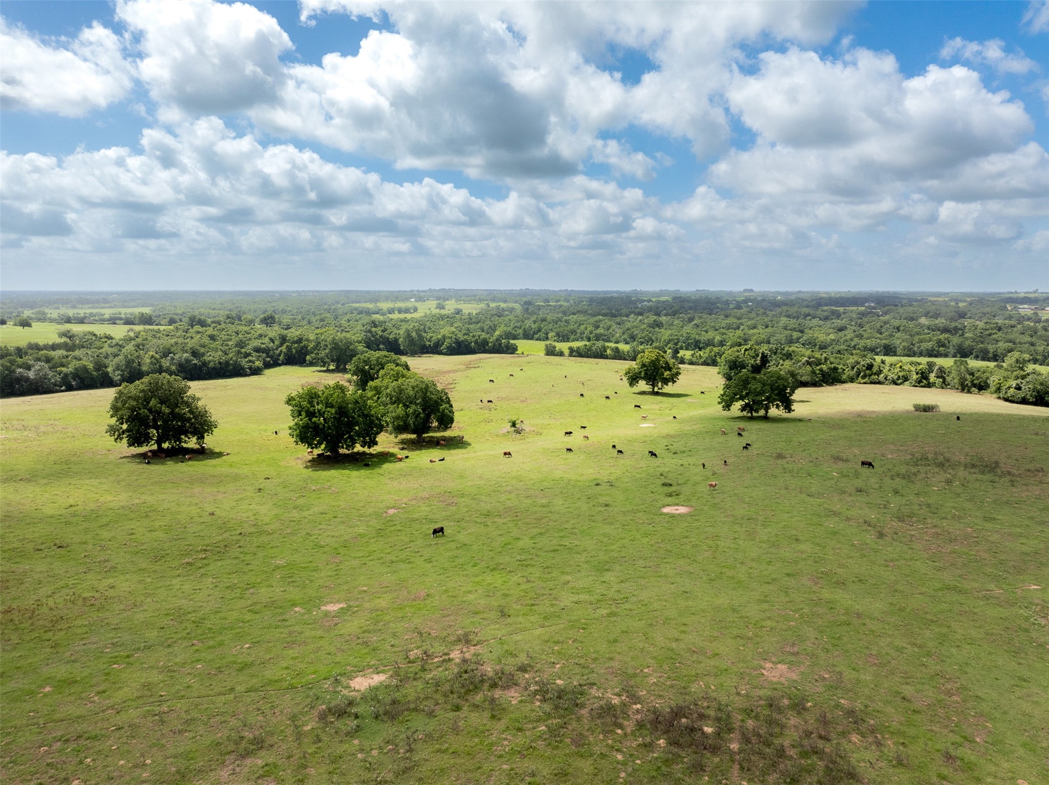 6550 Gibbs Creek Road Chappell Hill, TX 77426 - Photo 7 of 32 a view of a lake