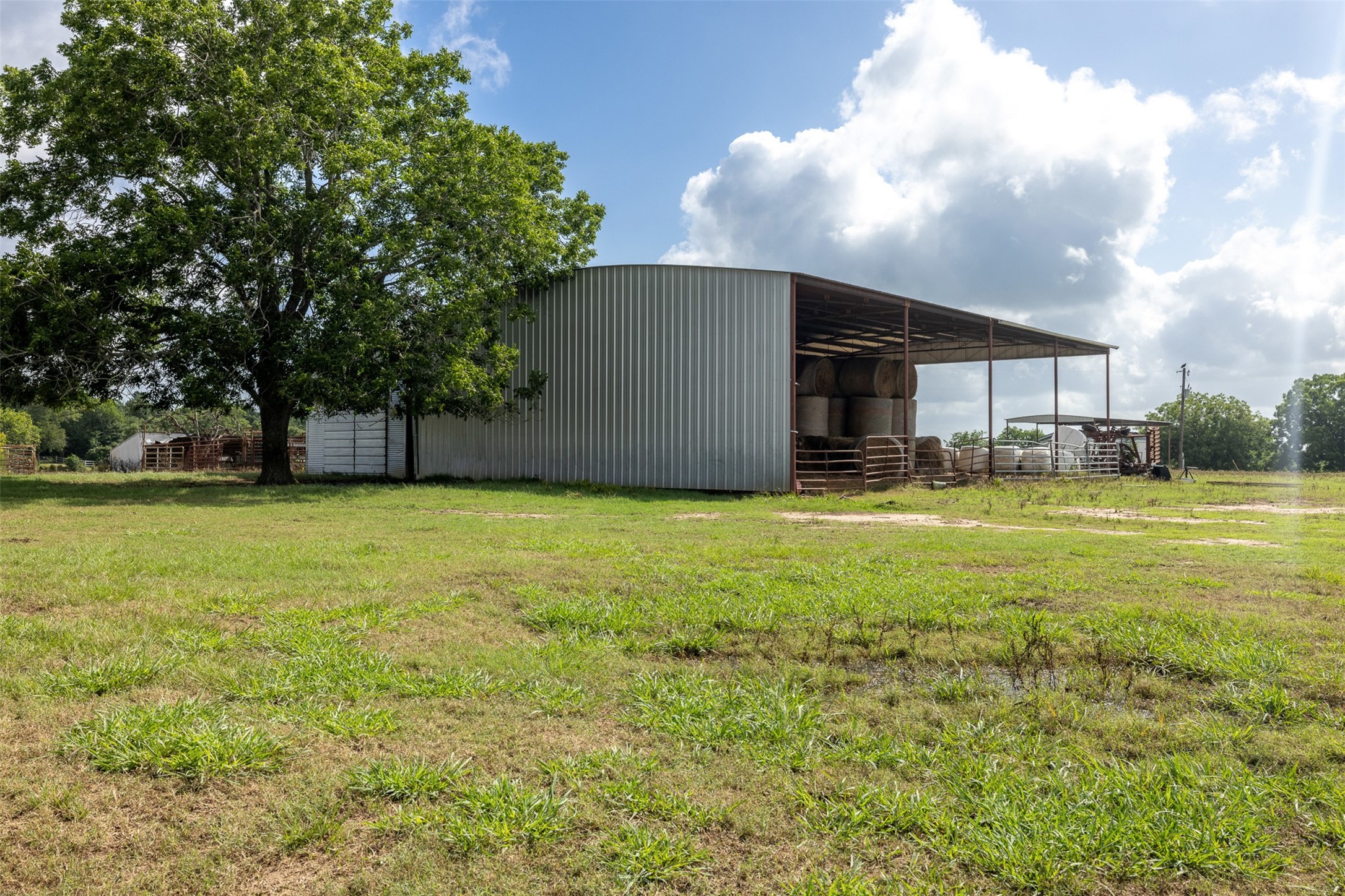 6550 Gibbs Creek Road Chappell Hill, TX 77426 - Photo 10 of 32 a view of a yard with a house