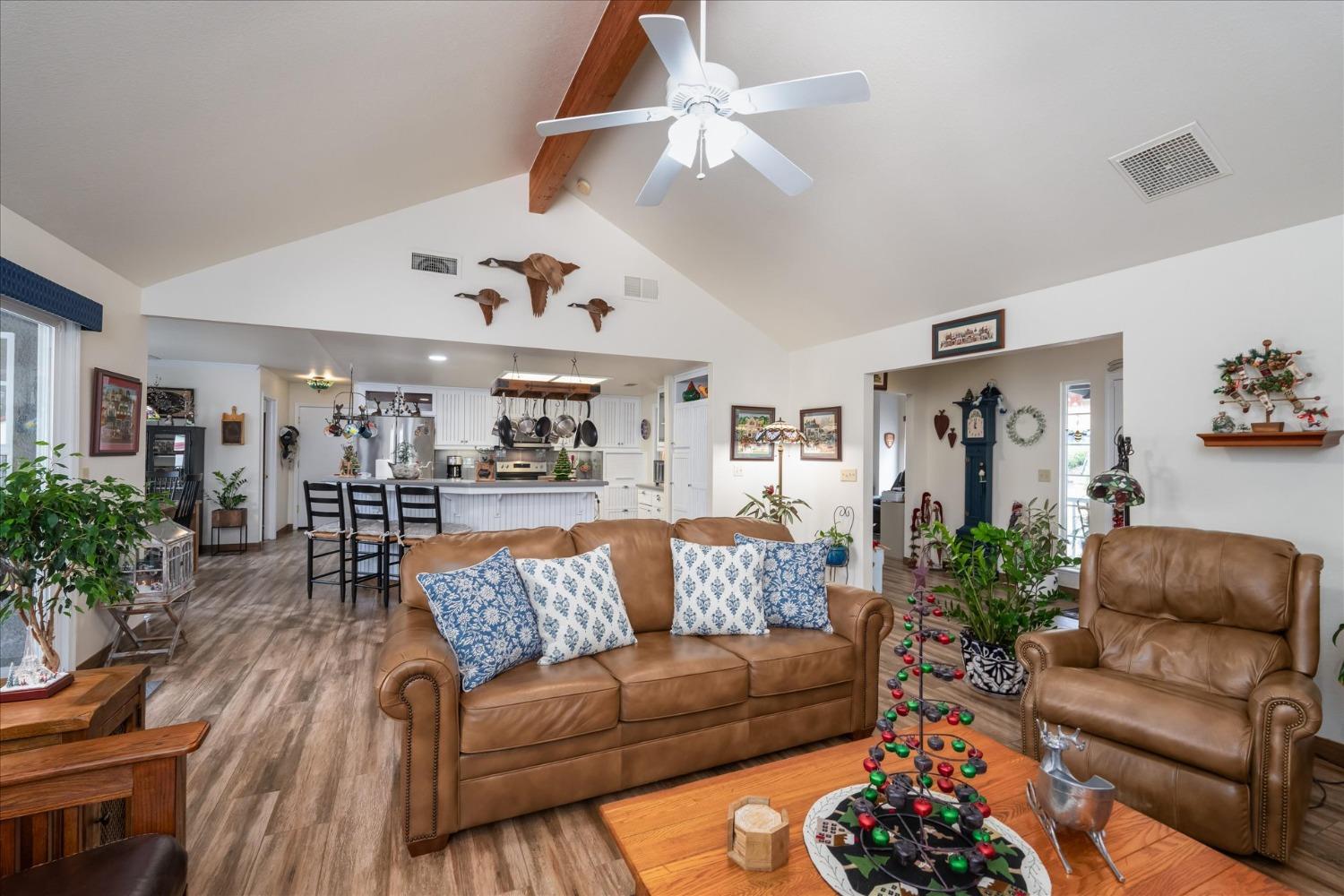 33655 River Knolls Road Coarsegold, CA 93614 - Photo 11 of 55 a living room with furniture ceiling fan and a rug