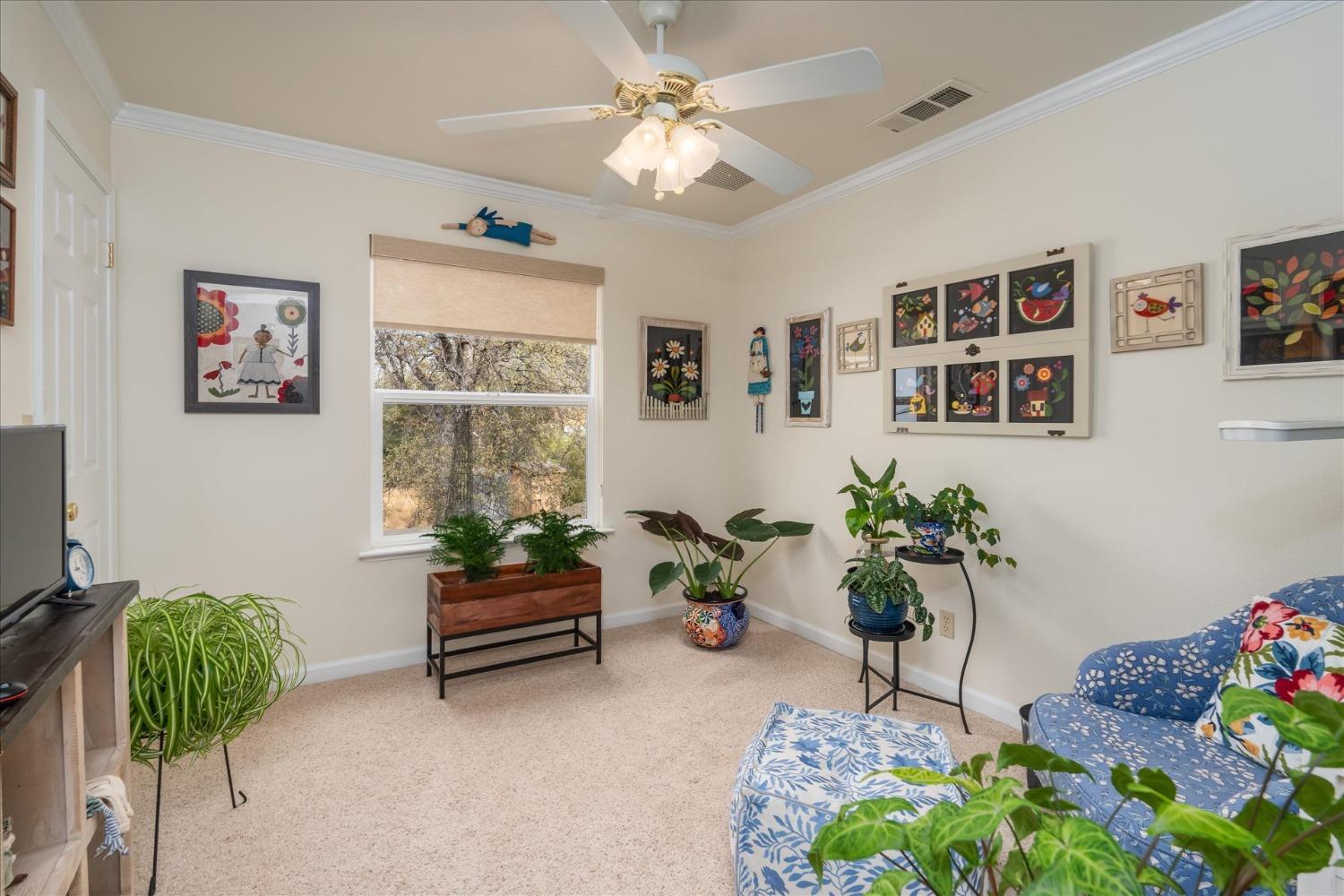 33655 River Knolls Road Coarsegold, CA 93614 - Photo 30 of 55 a living room with furniture