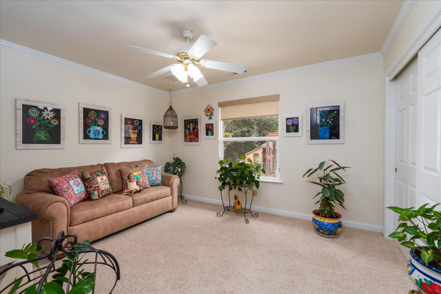 33655 River Knolls Road Coarsegold, CA 93614 - Photo 33 of 55 a living room with furniture and a potted plant