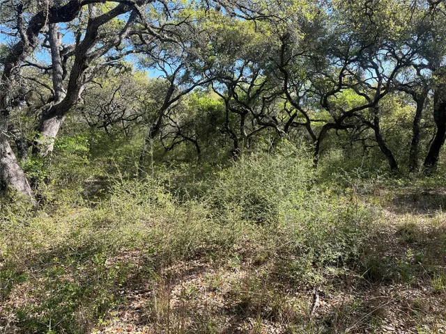 $200,000 | 0 County Road 120, Hallettsville, TX 77964