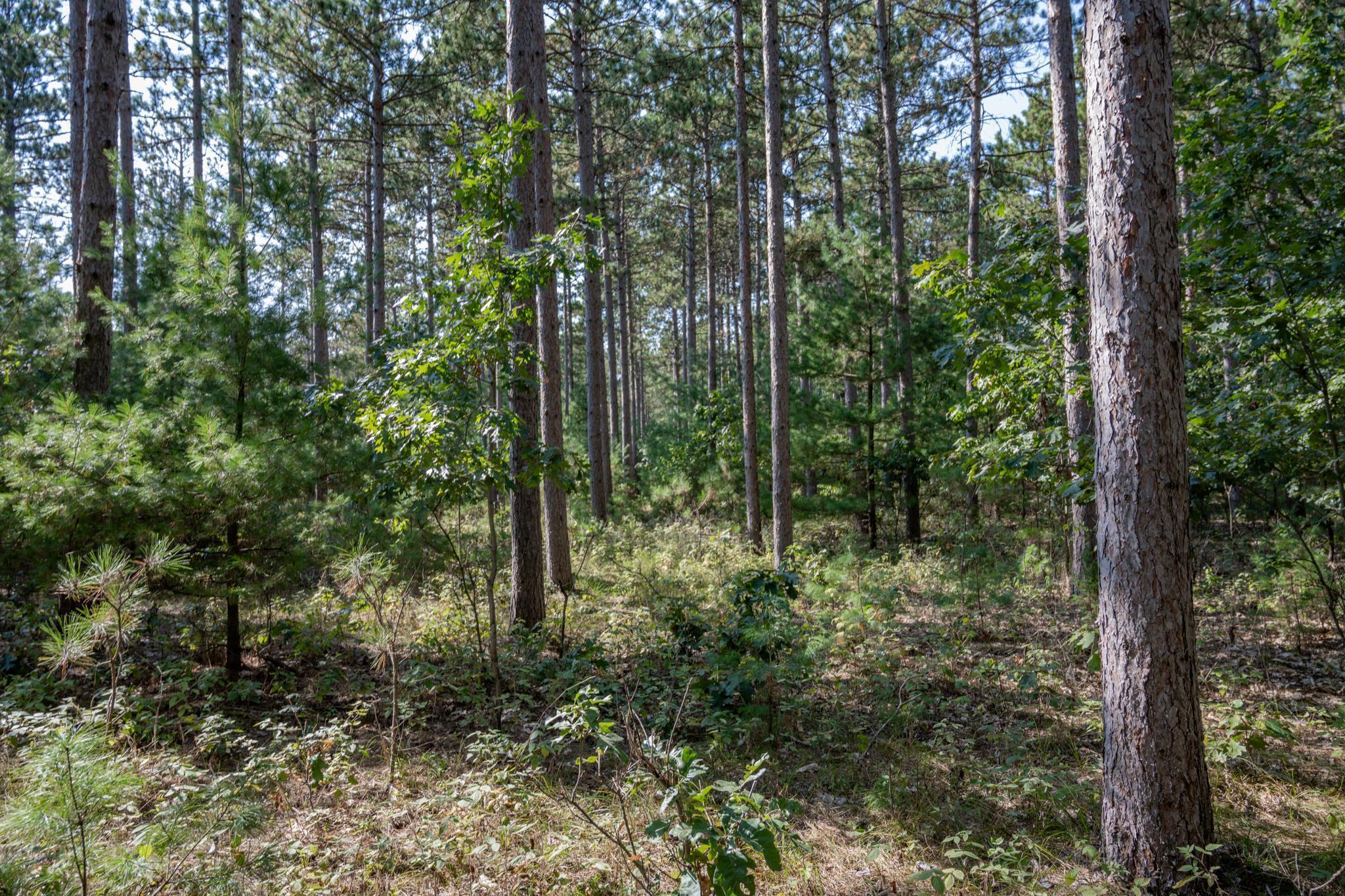 Lot 12 19th Friendship, WI 53934 - Photo 8 of 20