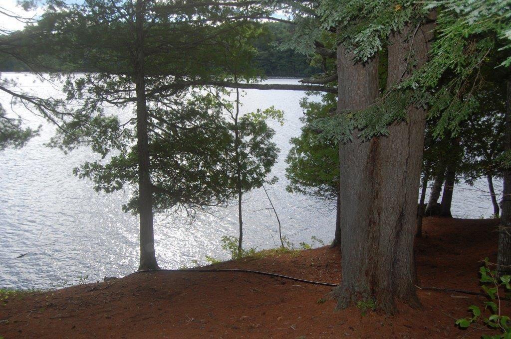 186 Tall Timbers Road Wayne, ME 04284 - Photo 21 of 25 WATER FRONT