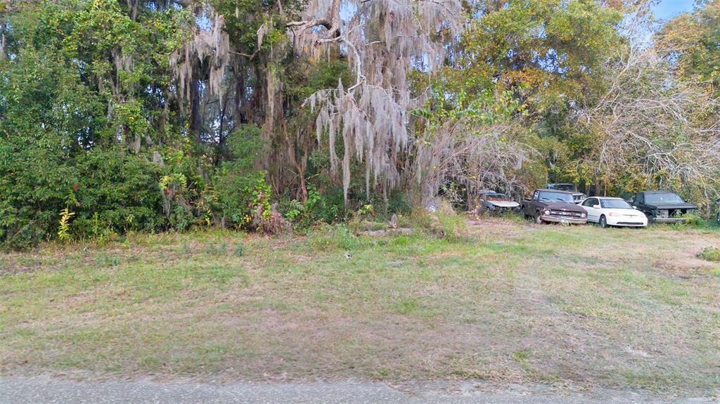 6159 Bagley Road Jacksonville, FL 32209 - Photo 14 of 17 a fire hydrant in the middle of a field
