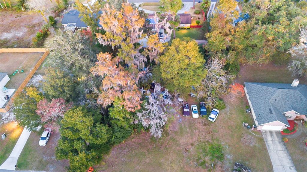 6159 Bagley Road Jacksonville, FL 32209 - Photo 16 of 17 a picture of flowers