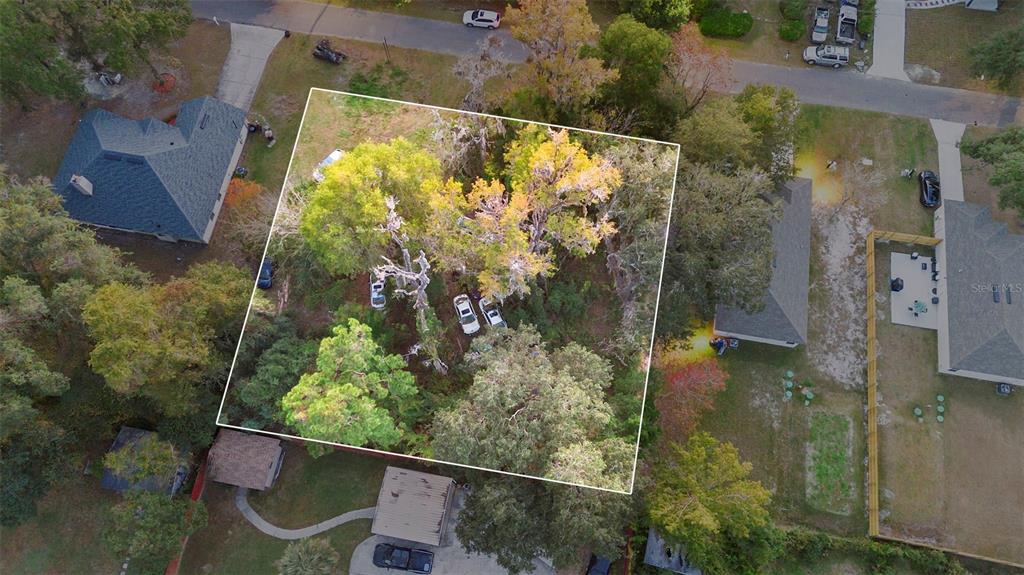 6159 Bagley Road Jacksonville, FL 32209 - Photo 4 of 17