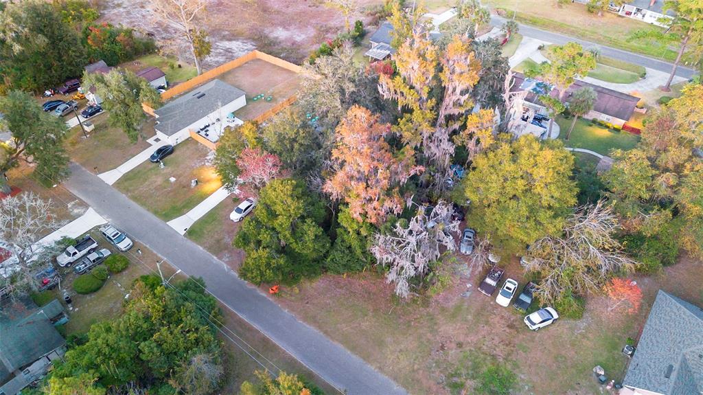 6159 Bagley Road Jacksonville, FL 32209 - Photo 6 of 17 a picture of flowers