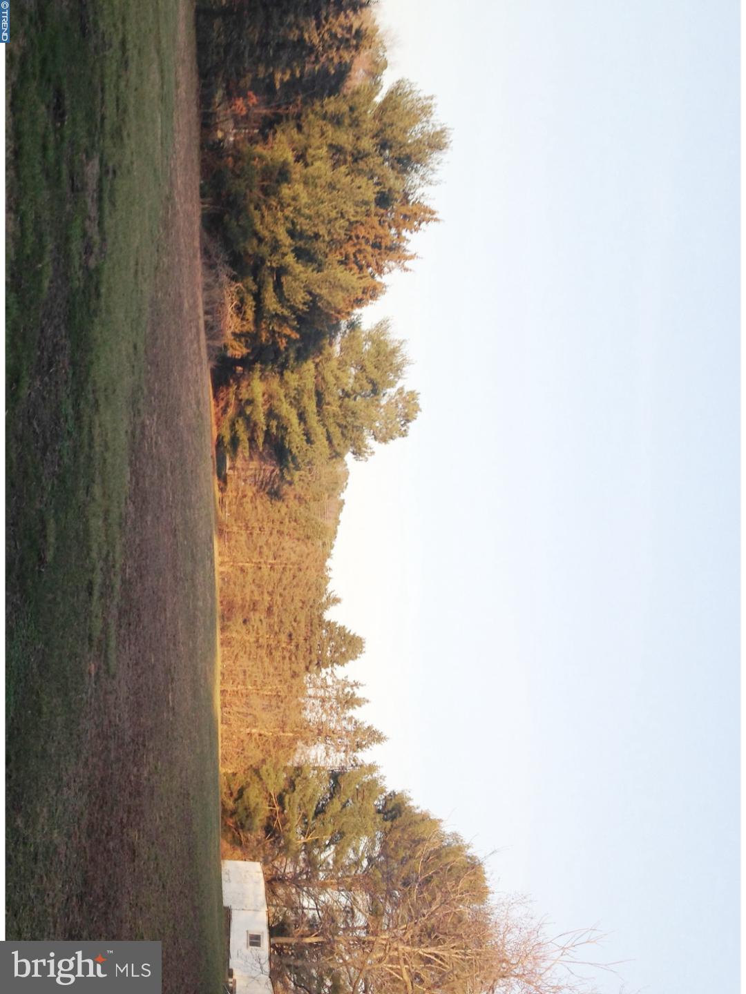 26819 Round Pole Bridge Road Milton, DE 19968 - Photo 18 of 20 Gallery Image 18
