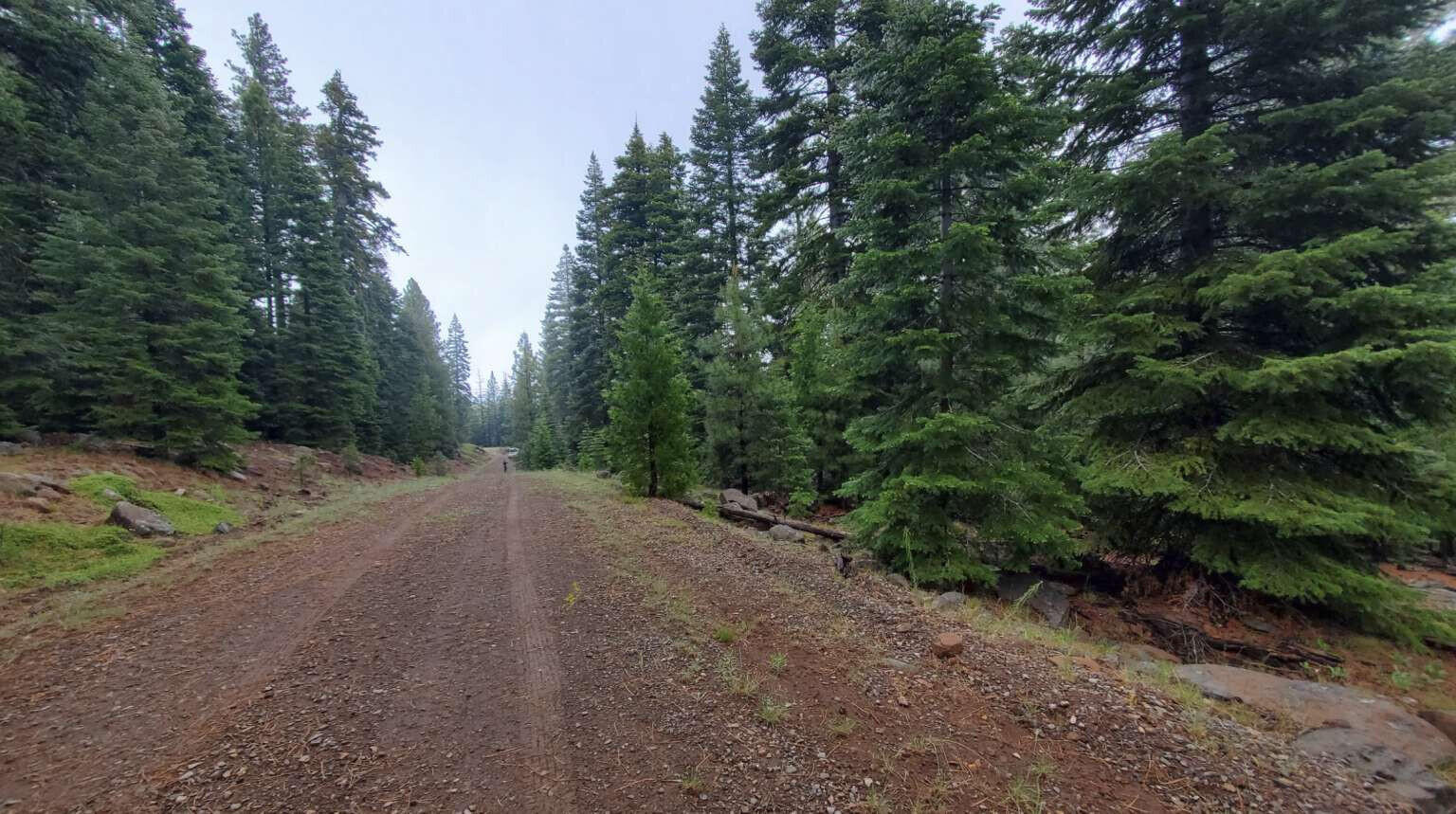 0 Range Road Alturas, CA 96101 - Photo 38 of 39 Hesser.38