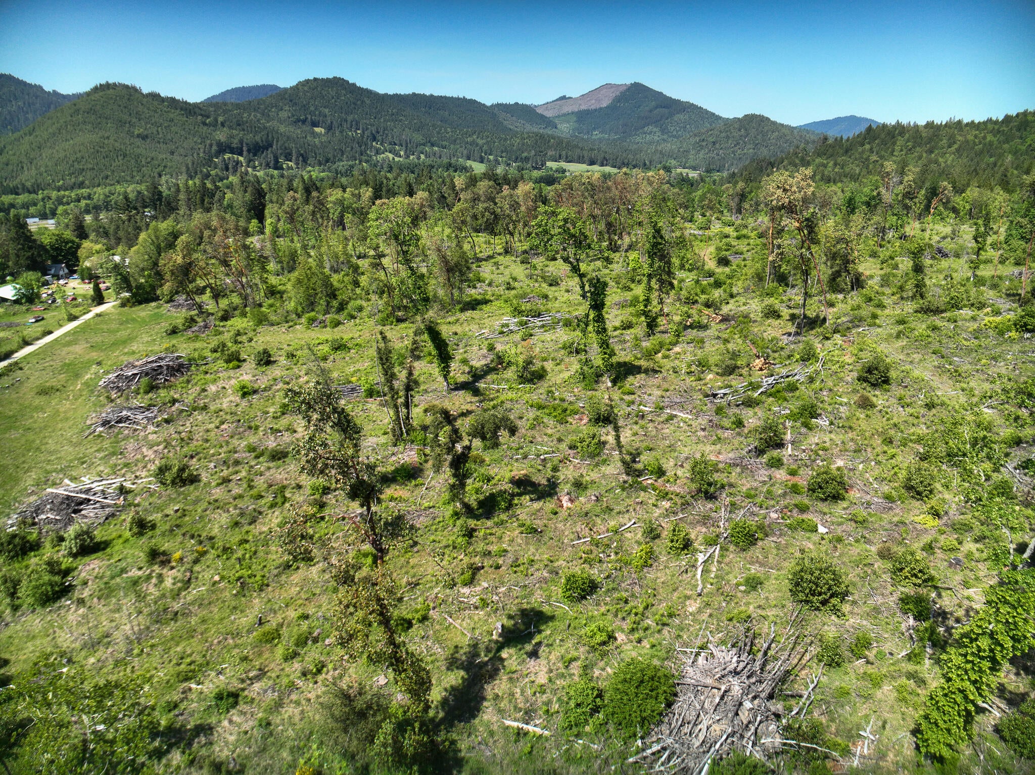 0 Stumbo Road Glendale, OR 97442 - Photo 16 of 36 19