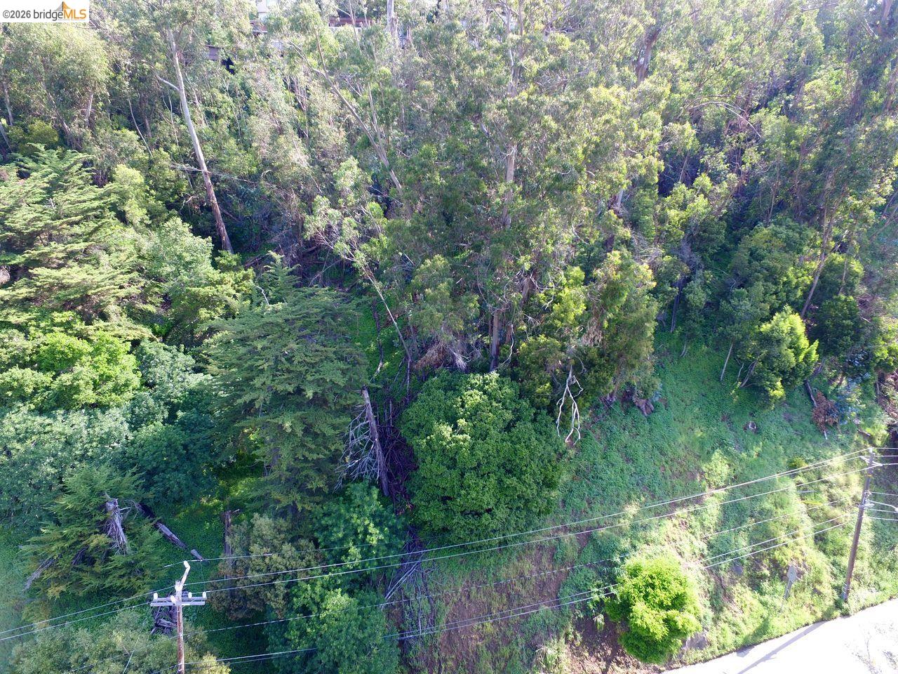 Scout Road Oakland, CA 94611 - Photo 3 of 5 a view of a lake with a tree