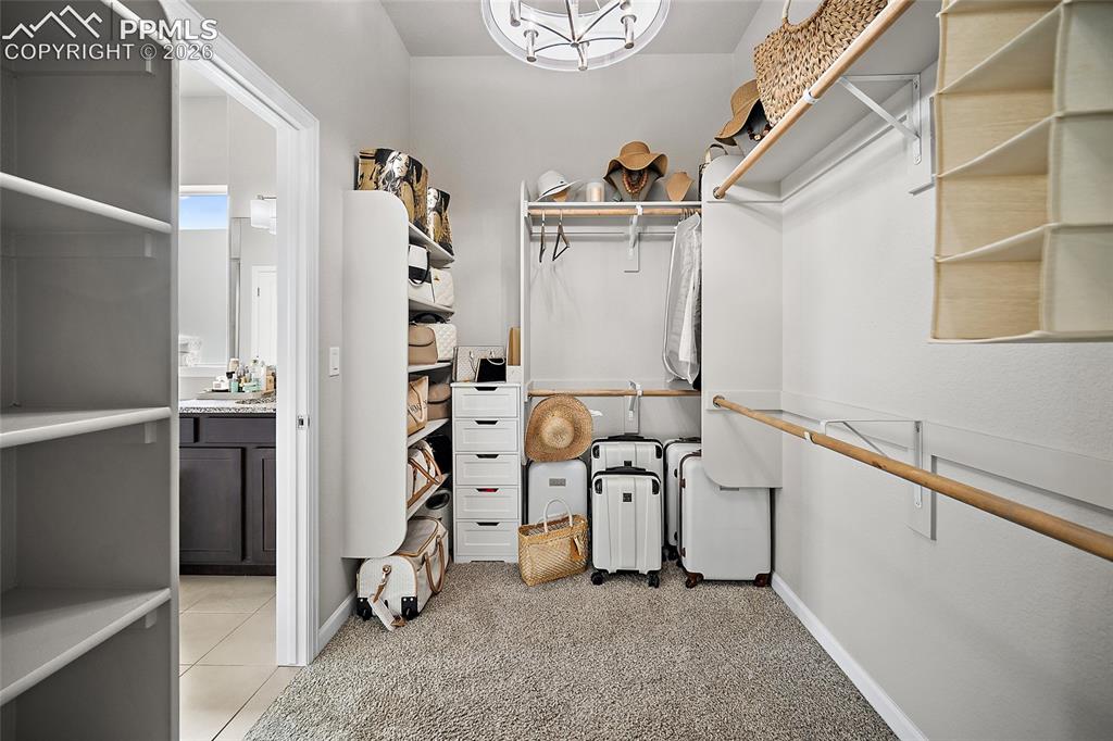 6427 Loaderman Drive Colorado Springs, CO 80924 - Photo 29 of 50