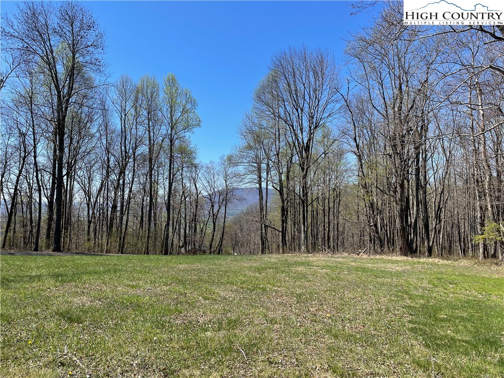 Lot#3 Olde Stone Ridge Lansing, NC 28643 - Photo 11 of 26