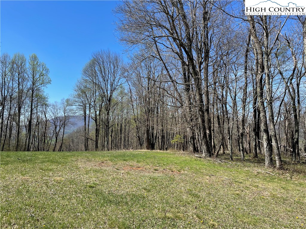 Lot#3 Olde Stone Ridge Lansing, NC 28643 - Photo 13 of 26