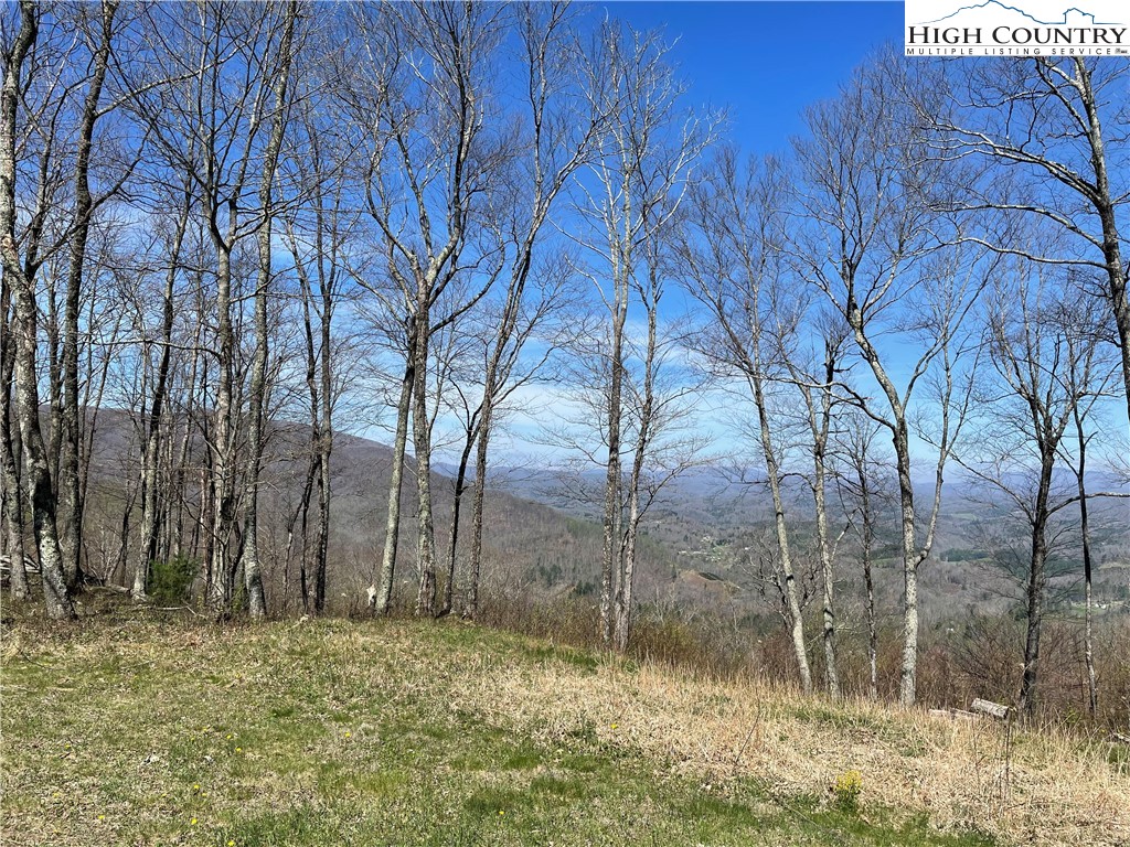 Lot#3 Olde Stone Ridge Lansing, NC 28643 - Photo 14 of 26