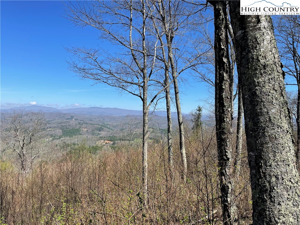 Lot#3 Olde Stone Ridge Lansing, NC 28643 - Photo 15 of 26