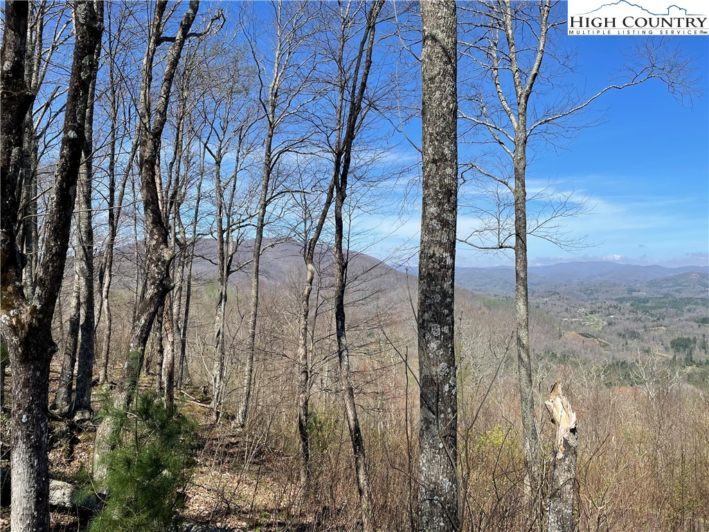 Lot#3 Olde Stone Ridge Lansing, NC 28643 - Photo 16 of 26