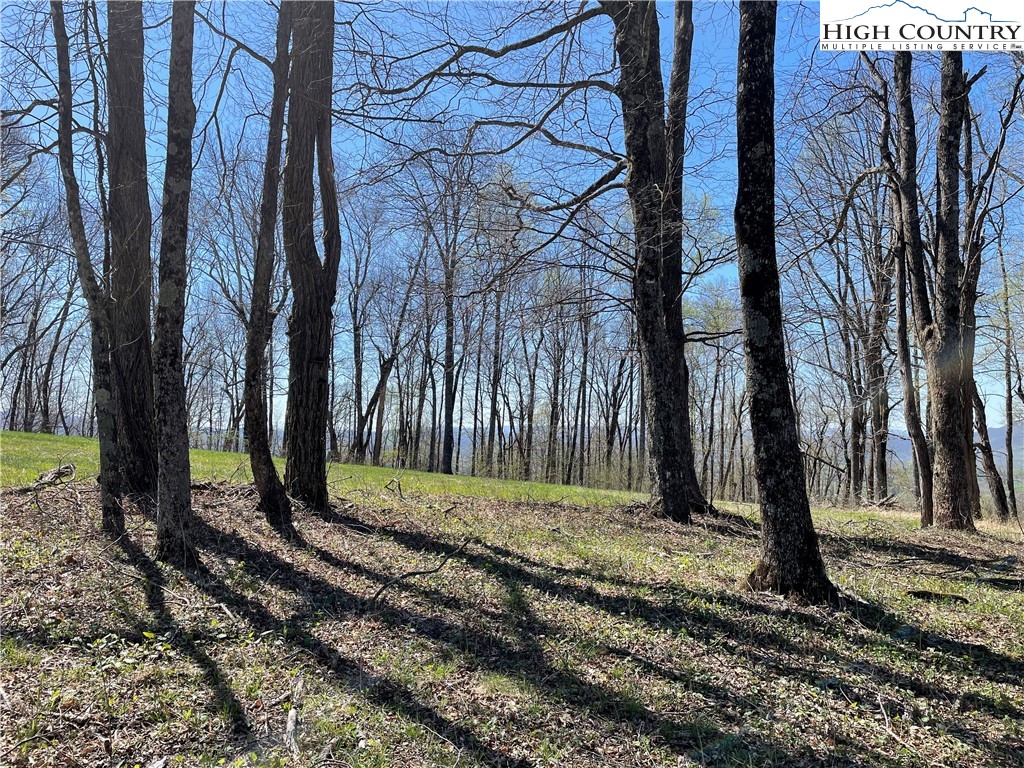 Lot#3 Olde Stone Ridge Lansing, NC 28643 - Photo 17 of 26