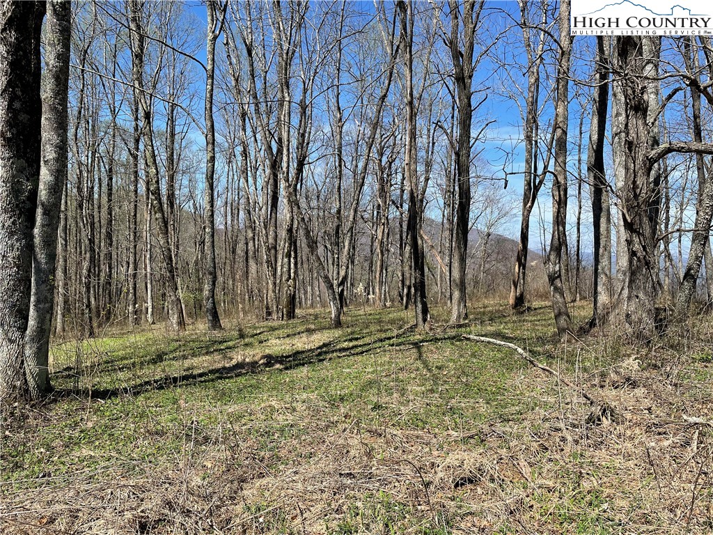 Lot#3 Olde Stone Ridge Lansing, NC 28643 - Photo 19 of 26