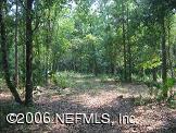 1351 Roberts Road Fruit Cove, FL 32259 - Photo 2 of 5 a view of a park that has large trees