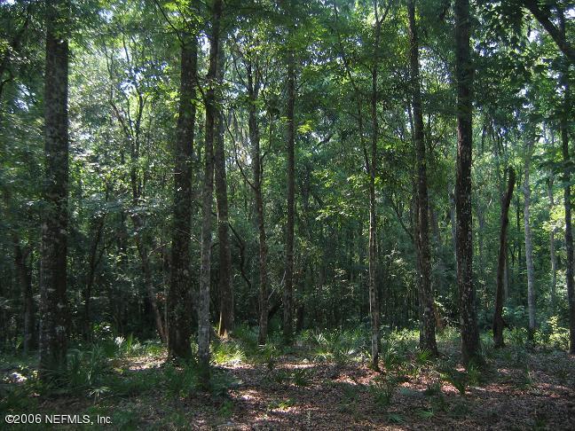 1351 Roberts Road Fruit Cove, FL 32259 - Photo 3 of 5 a view of forest