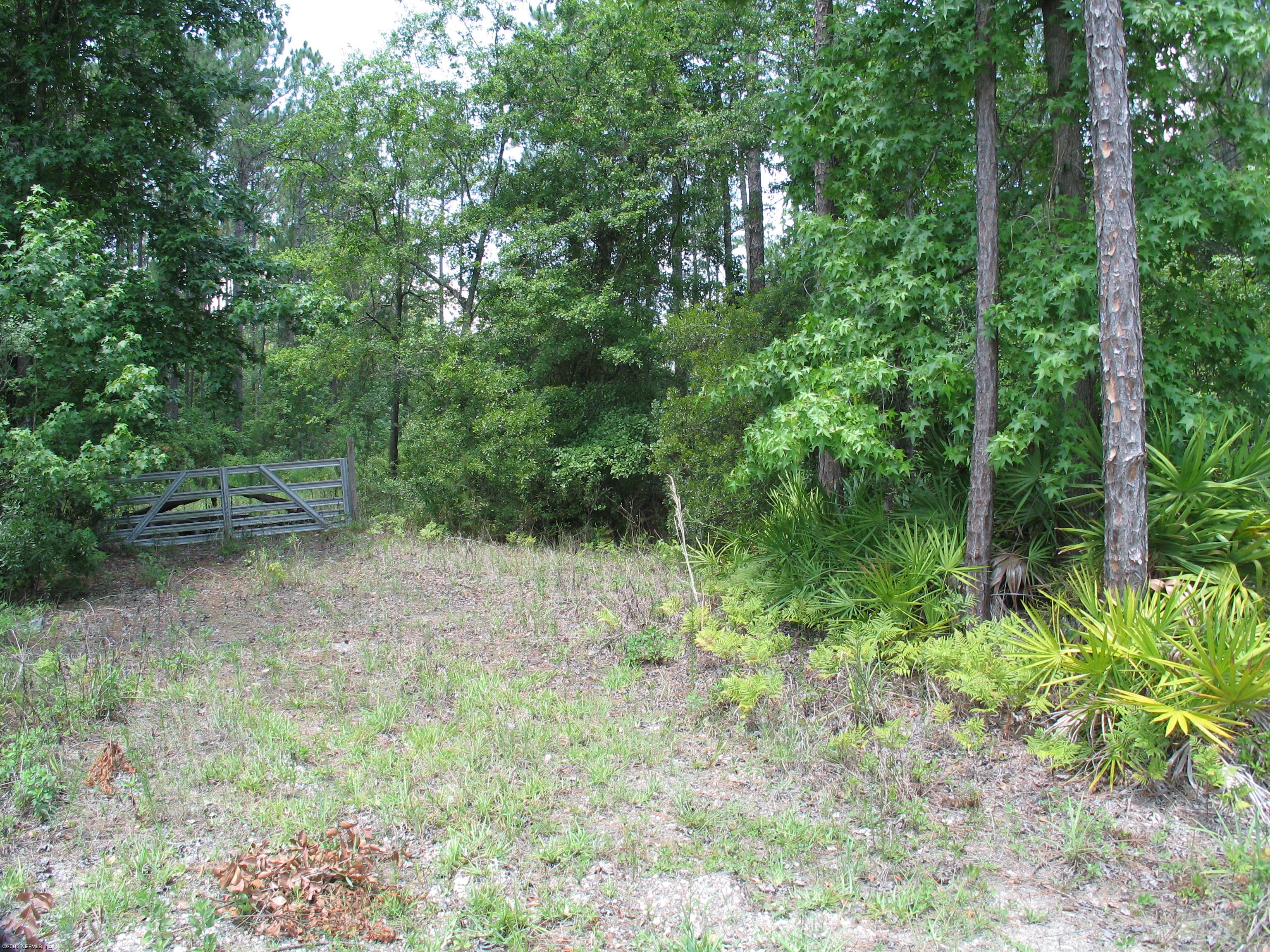 1351 Roberts Road Fruit Cove, FL 32259 - Photo 4 of 5 a view of outdoor space and green space