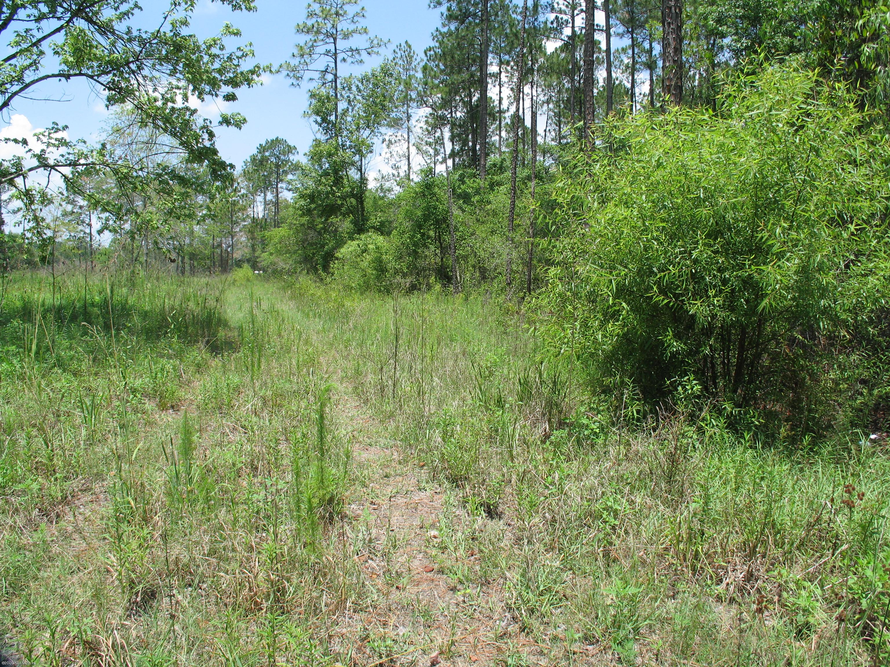 1351 Roberts Road Fruit Cove, FL 32259 - Photo 5 of 5 a view of a lush green space