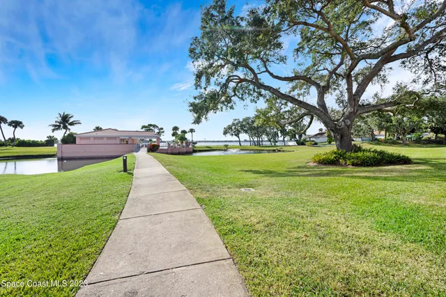 a view of a garden with a lake